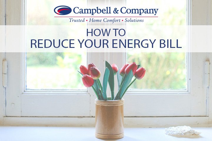 Campbell & company how to reduce your energy bill