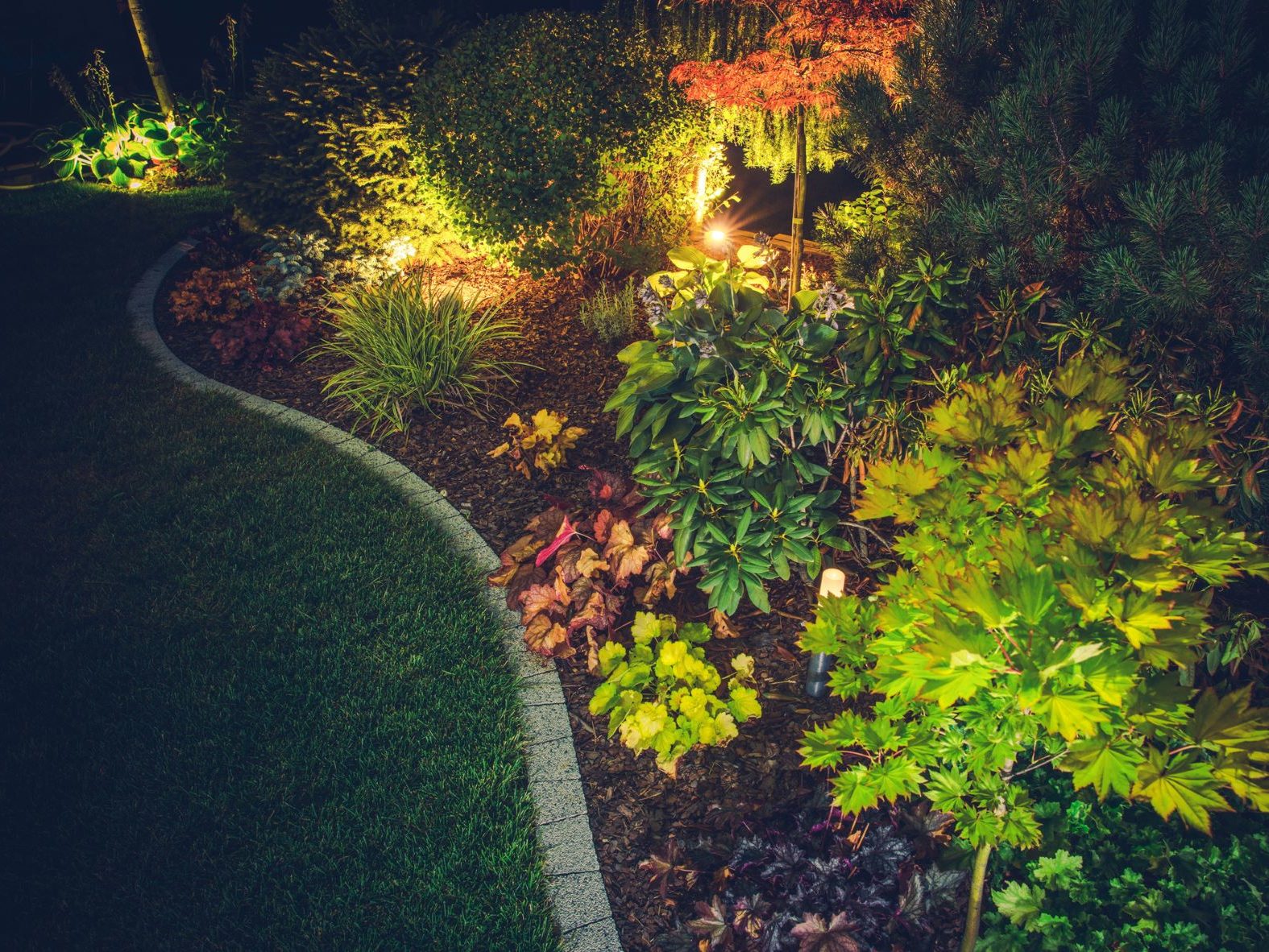 Gardening bed illuminated with lighting